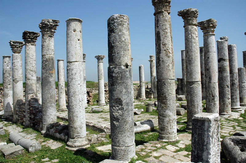 A Roman Villa near Apamea